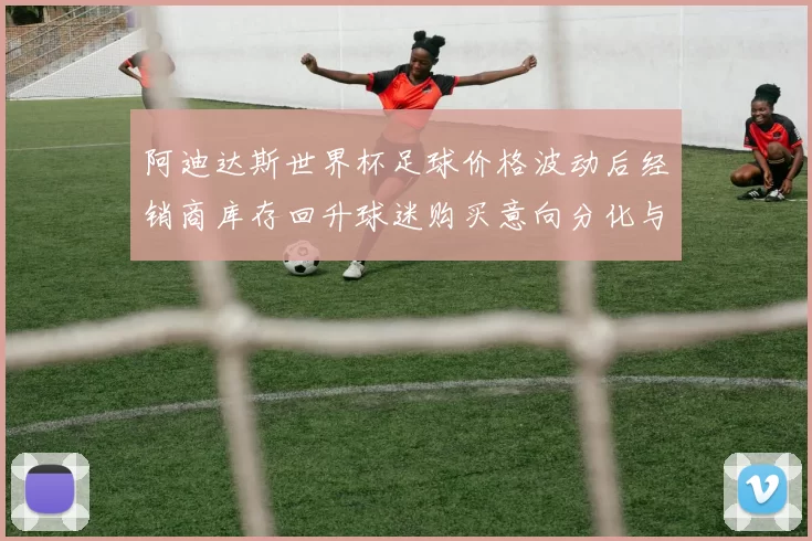 阿迪达斯世界杯足球价格波动后经销商库存回升球迷购买意向分化与后市影响