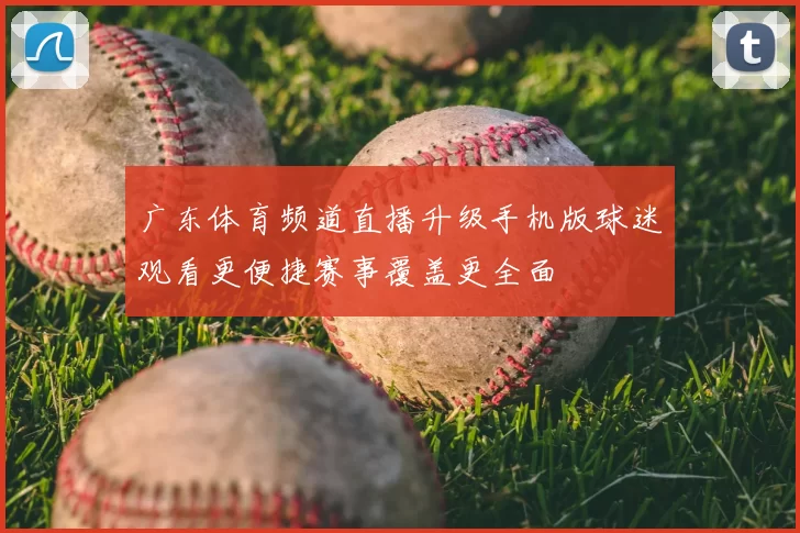 广东体育频道直播升级手机版球迷观看更便捷赛事覆盖更全面