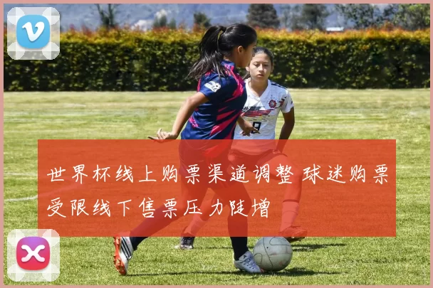 世界杯线上购票渠道调整 球迷购票受限线下售票压力陡增