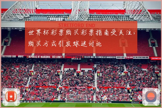 世界杯彩票购买彩票指南受关注,购买方式引发球迷讨论